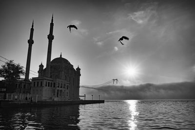 View of birds flying over water and fog