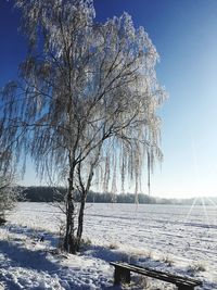 Bare tree on snow covered landscape against clear sky