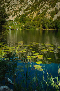 Scenic view of lake