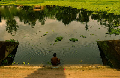 Rear view of man sitting by lake