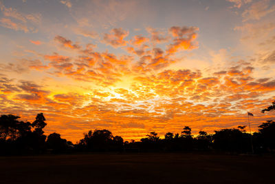 Silhouette trees on field against dramatic sky during sunset