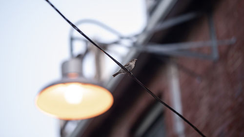 Close-up of illuminated light bulb