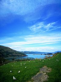 Scenic view of landscape against blue sky