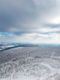 Trees on snowy landscape against cloudy sky