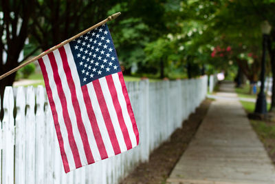 Flag against trees