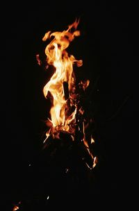 Close-up of fire in the dark