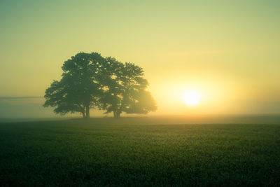 Scenic view of field against clear sky during sunset