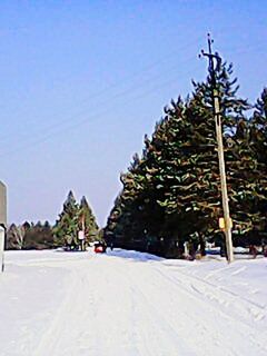 VIEW OF SNOW COVERED LANDSCAPE