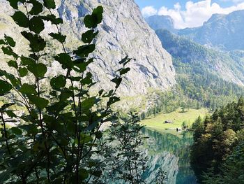 Scenic view of lake by tree mountains