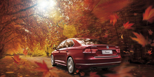 Car on road amidst trees during autumn