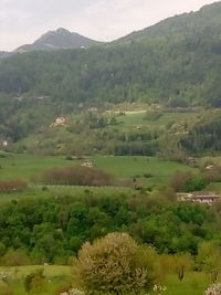 Scenic view of landscape and mountains