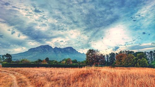 Scenic view of field against sky