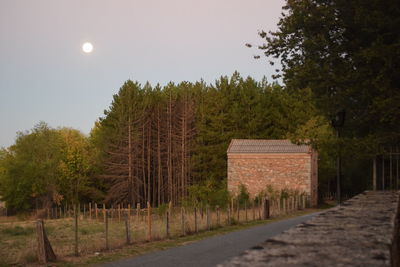 Trees on landscape against sky