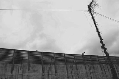 Low angle view of bird perching on cable against building