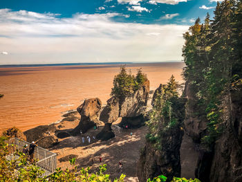 Scenic view of the hopewell rocks