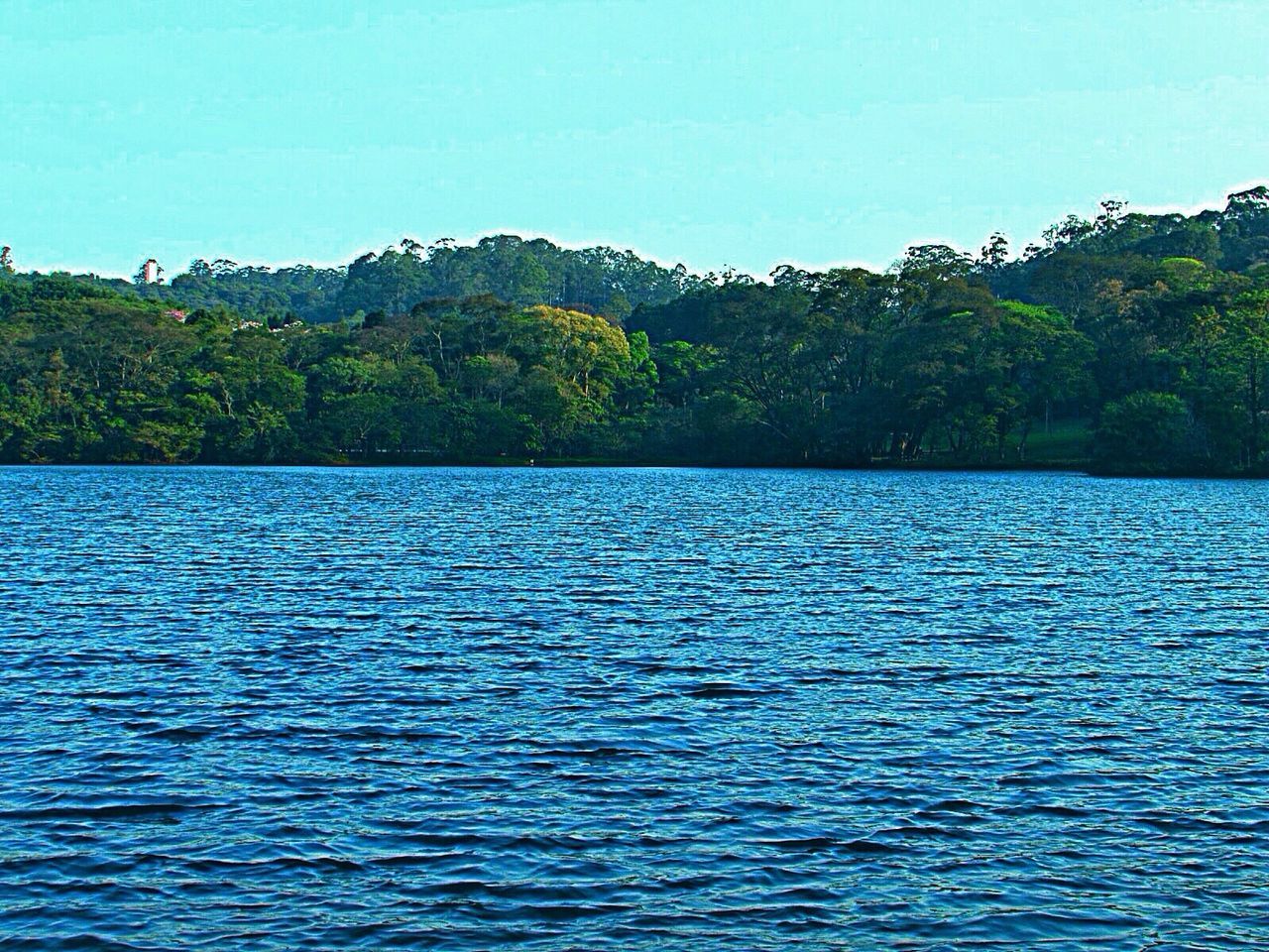 water, waterfront, tranquil scene, tree, tranquility, scenics, clear sky, rippled, blue, beauty in nature, nature, mountain, lake, idyllic, copy space, sky, day, sea, outdoors, calm