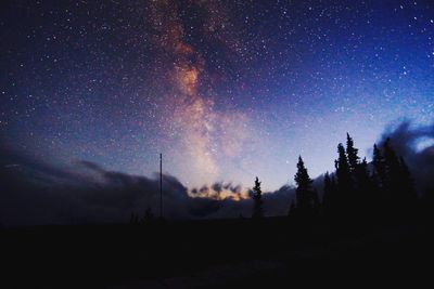 Silhouette trees against star field at night