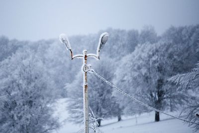 Snow on tree against sky during winter