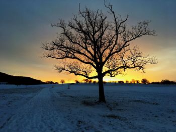 Bare tree on snow covered landscape at sunset