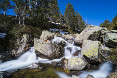 Stream flowing through rocks in forest