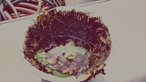 High angle view of ice cream on table