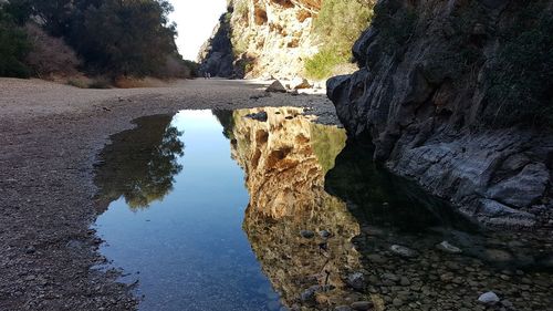 Scenic view of rock formation amidst trees