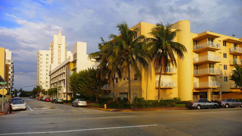 City street by palm trees against sky