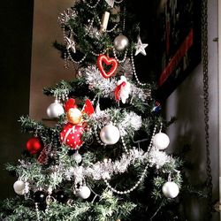 Christmas lights hanging on tree