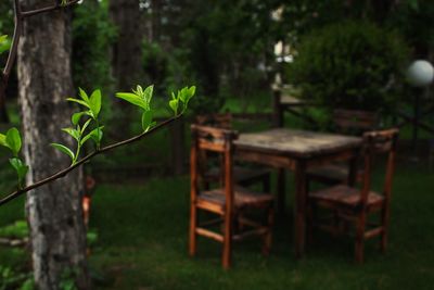 Close-up of chair on table