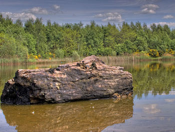 Scenic view of river by trees against sky