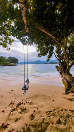 View of swing on beach