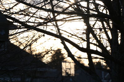 Low angle view of bare tree against sky