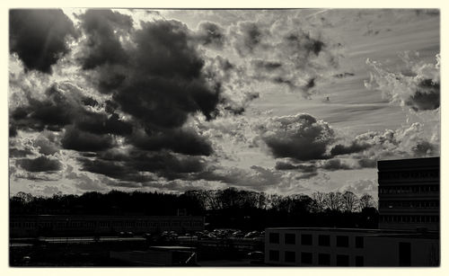 View of trees against sky