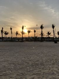 Silhouette palm trees on beach against sky during sunset