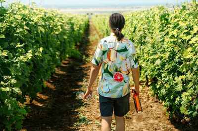 Man holding wine bottle and glasses walking in vineyard