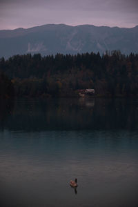 Bled lake at blue hour, slovenia