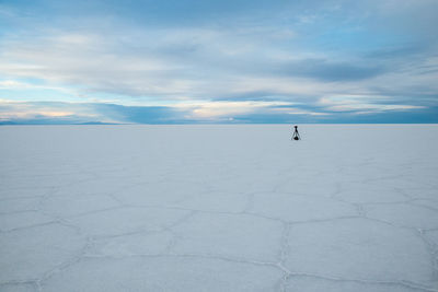 Scenic view of snow covered landscape against sky