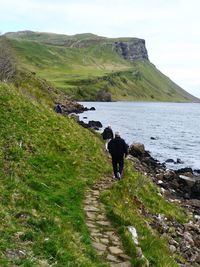 Rear view of man walking on shore against sky