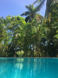 Swimming pool by trees against sky