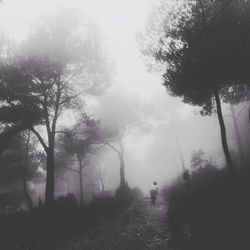 Man amidst trees against sky