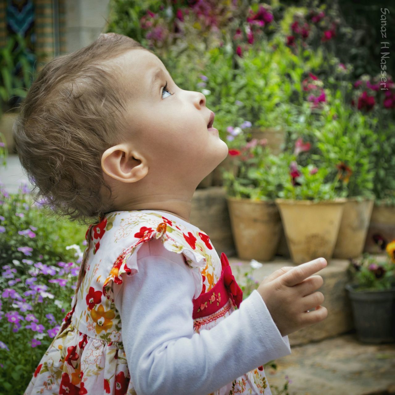 focus on foreground, lifestyles, leisure activity, sitting, childhood, person, holding, casual clothing, girls, standing, waist up, day, flower, park - man made space, outdoors, side view, three quarter length