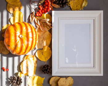 Colorful autumn pattern made of pumpkins, cones, leaves and rowan on gray frame, copy
