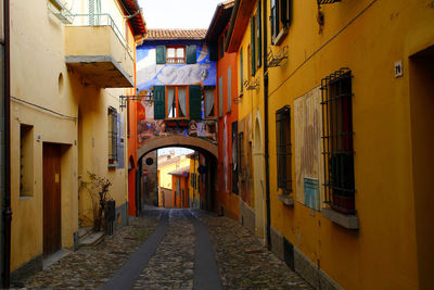 Alley amidst residential buildings