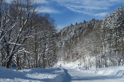 Bare trees on snow covered land against sky