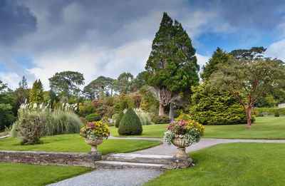 Trees in garden against sky