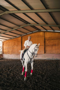 Senior man horse riding in stable