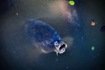 outer space