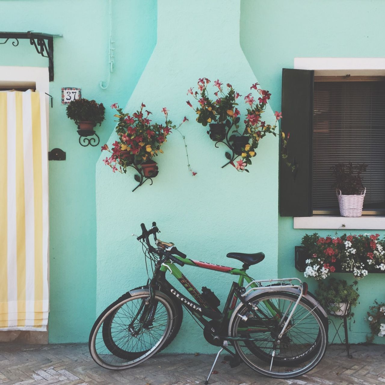 bicycle, parked, land vehicle, mode of transport, stationary, transportation, parking, building exterior, architecture, built structure, flower, potted plant, wall - building feature, wall, house, plant, window, day, sidewalk, no people