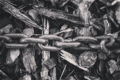 Close-up of old metal chain on wood