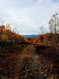 Landscape against sky during autumn